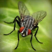 /album/jubimaconre/photolia-a01-jpg/