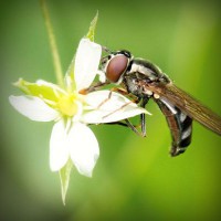 /album/jubimaconre/photolia-a02-jpg/