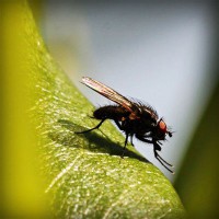 /album/jubimaconre/photolia-a04-jpg/