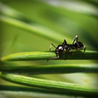 /album/jubimaconre/photolia-a05-jpg/