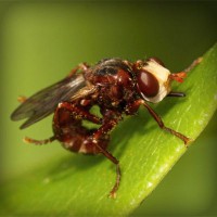 /album/jubimaconre/photolia-a06-jpg/