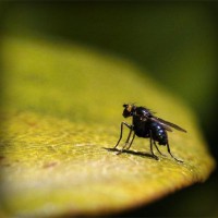 /album/jubimaconre/photolia-a07-jpg/